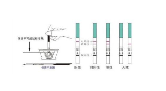 排卵试纸lh参考值