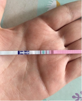 排卵试纸强阳