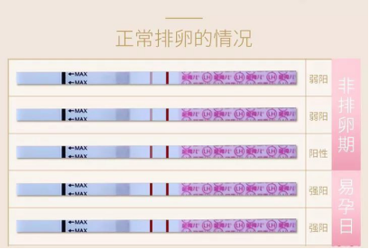 为什么排卵试纸可以测出怀孕