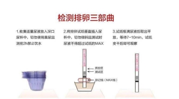 怎样使用排卵测试纸