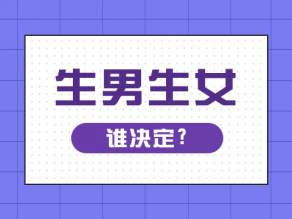 生男生女是谁决定的