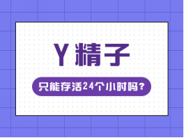 Y精子只能存活24个小时吗