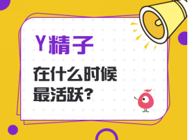Y精子在什么时候最活跃